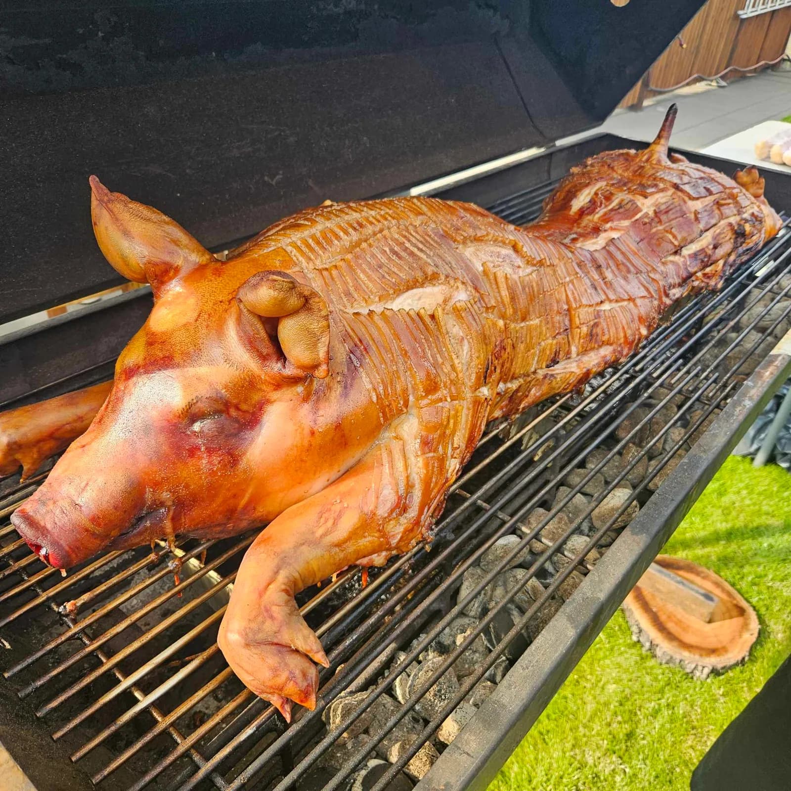 Helstegt pattegris på grillen til et selskab udendørs
